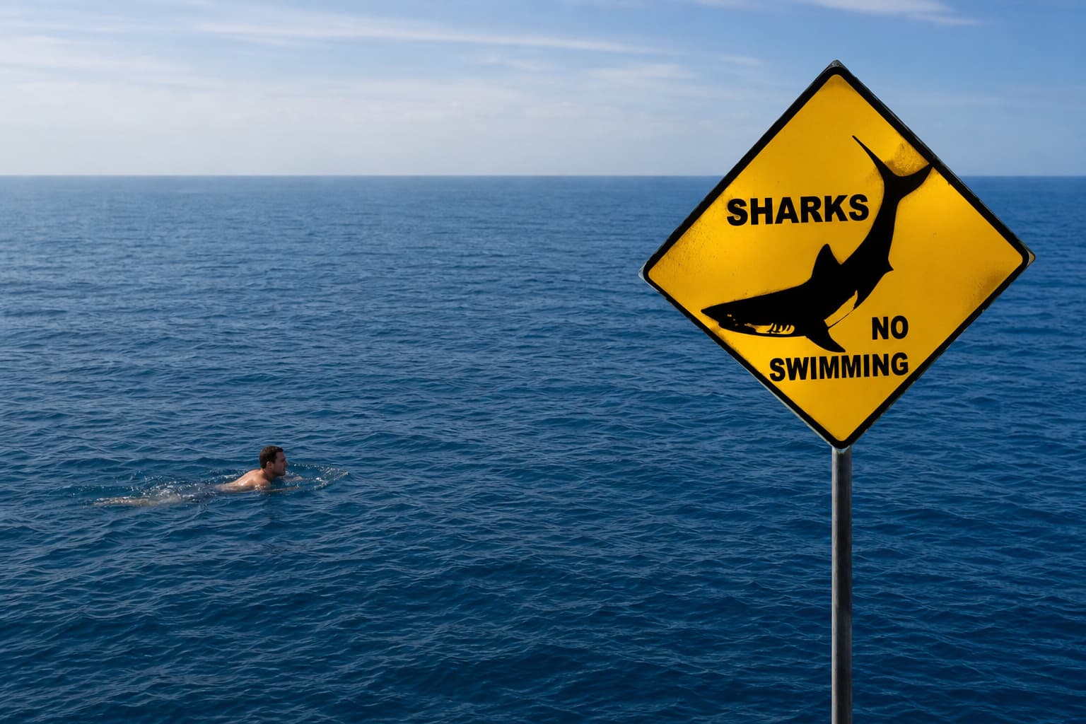 A “Sharks — No Swimming” sign beside an oblivious swimmer